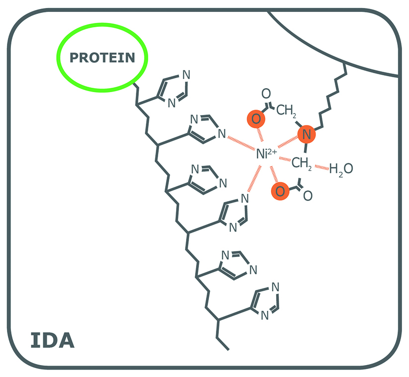 IDA-binding-structure